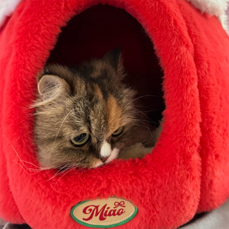 Contemporary Creative Round Velvet Fabric Sponge Semi-Enclosed Cat Bed For Bedroom Cuvalon