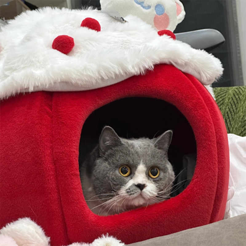 Contemporary Creative Round Velvet Fabric Sponge Semi-Enclosed Cat Bed For Bedroom Cuvalon