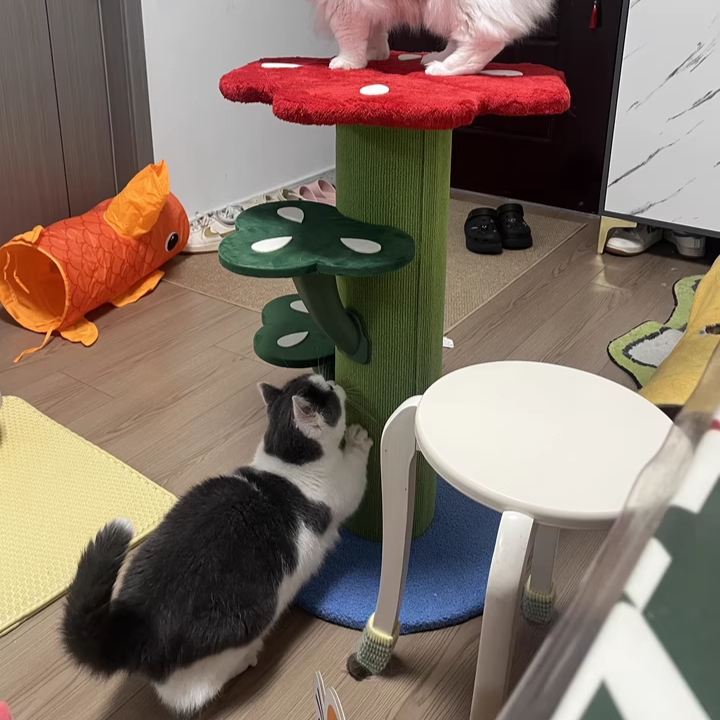 Contemporary Creative Round Medium-Density Fiberboard Velvet Fabric PVC Cactus-Shaped Cat Tree 3-Tier For Living Room Cuvalon