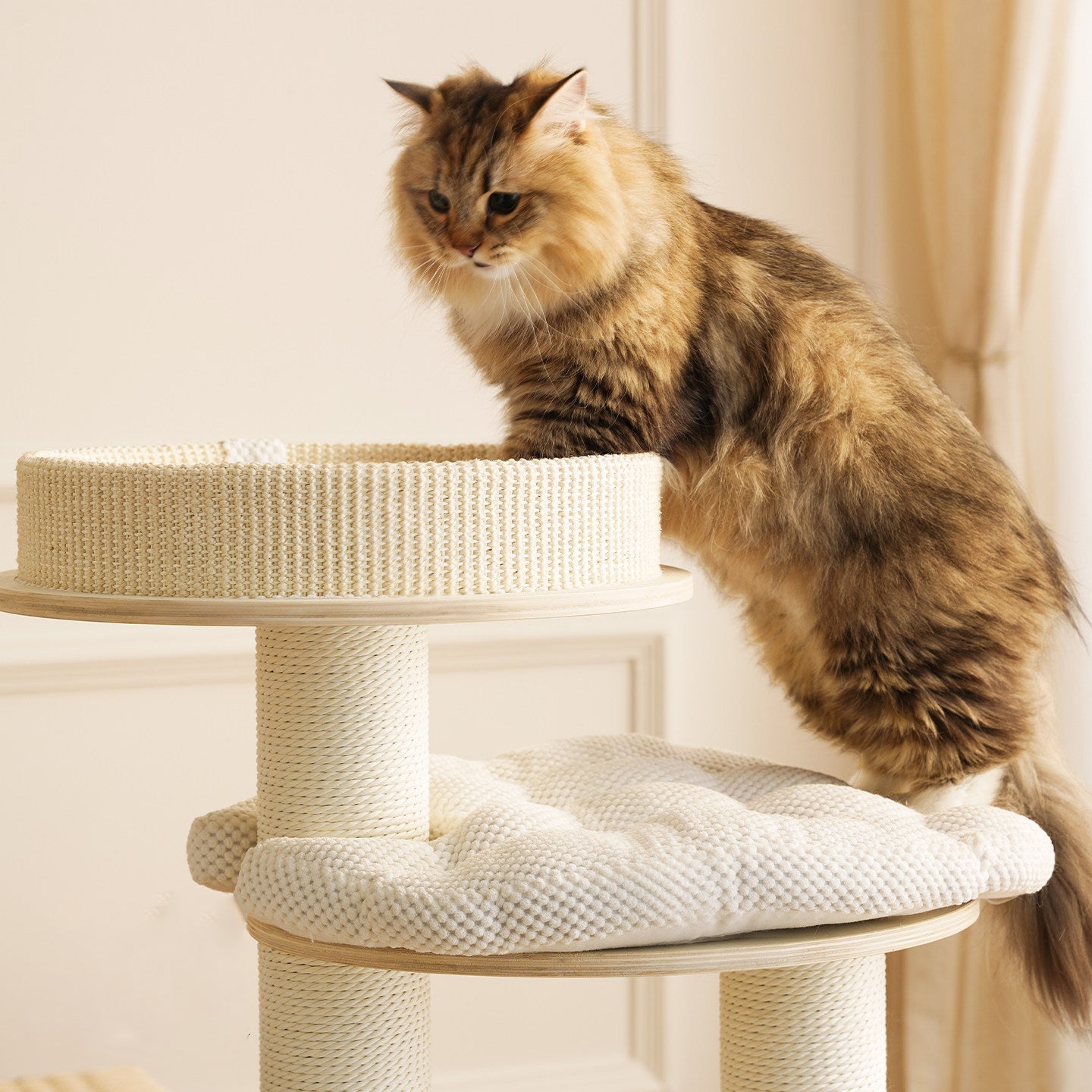Contemporary Creative Round Multi-layer Solid Wood Panel Corduroy Paper Rope Kraft Paper Tube Cat Tree For Living Room Cuvalon