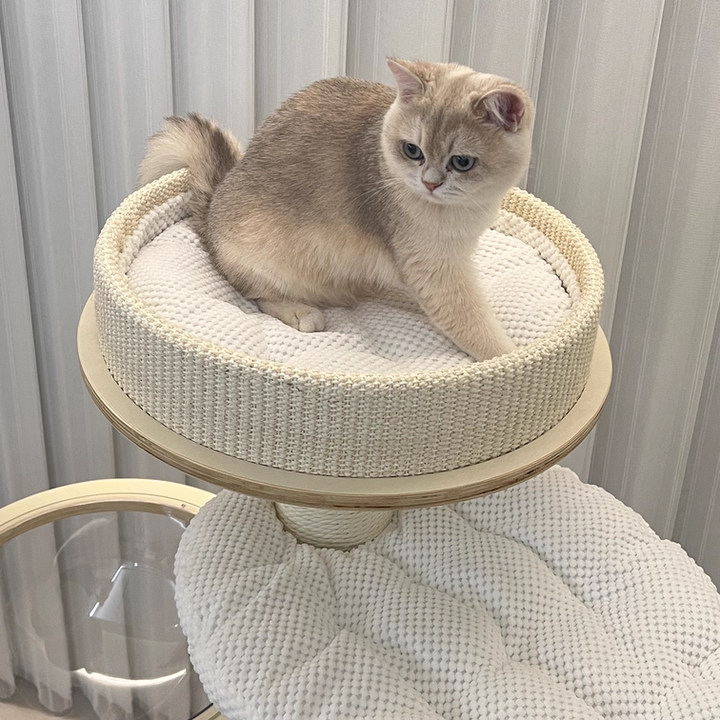 Contemporary Creative Round Multi-layer Solid Wood Panel Corduroy Paper Rope Kraft Paper Tube Cat Tree For Living Room Cuvalon