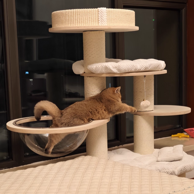 Contemporary Creative Round Multi-layer Solid Wood Panel Corduroy Paper Rope Kraft Paper Tube Cat Tree For Living Room Cuvalon