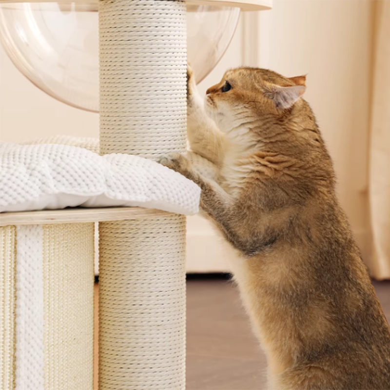 Contemporary Creative Round Multi-layer Solid Wood Panel Corduroy Paper Rope Kraft Paper Tube Cat Tree For Living Room Cuvalon