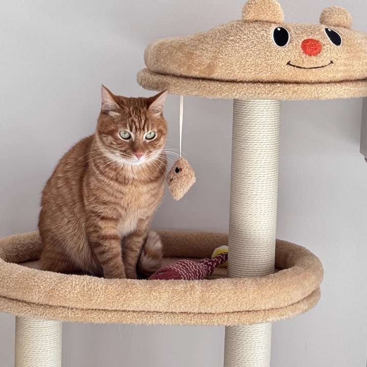 Contemporary Creative Rectangular Medium-Density Fiberboard Velvet Fabric Paper Rope Paper Tube Cat Tree For Living Room Cuvalon