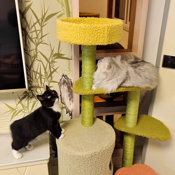 Contemporary Creative Round Particleboard Velvet Fabric Hemp Rope Cat Tree For Living Room Cuvalon