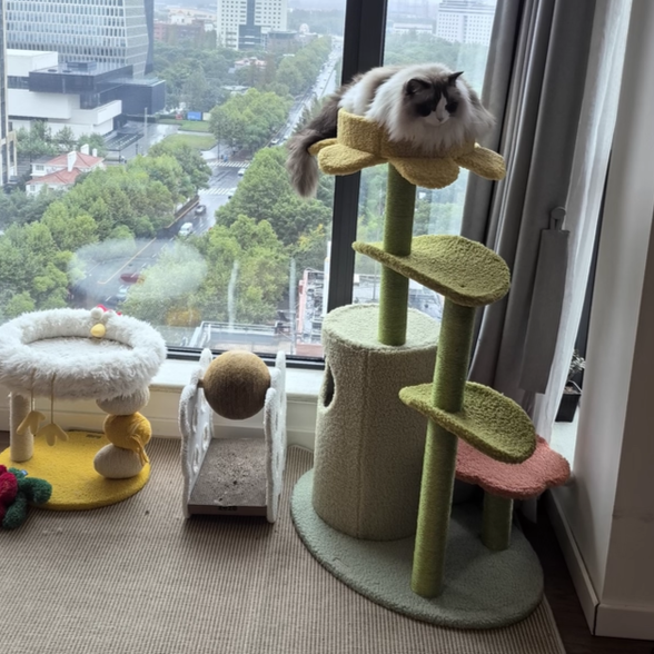 Contemporary Creative Round Particleboard Velvet Fabric Hemp Rope Cat Tree For Living Room Cuvalon