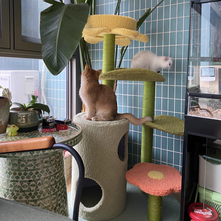 Contemporary Creative Round Particleboard Velvet Fabric Hemp Rope Cat Tree For Living Room Cuvalon