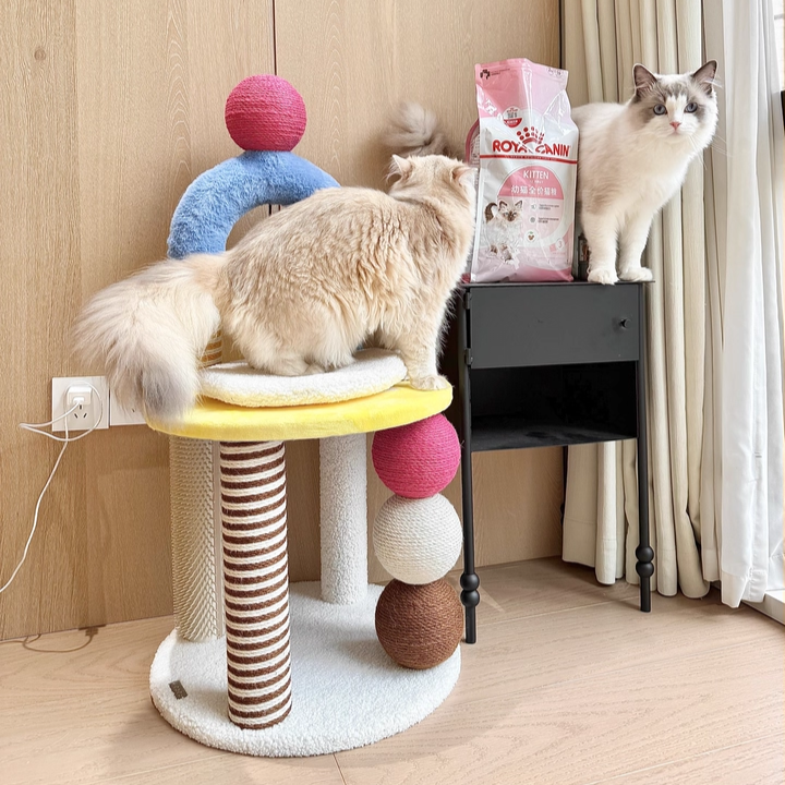 Contemporary Creative Round Particleboard Velvet Fabric Hemp Rope PE PS Cat Tree For Living Room Cuvalon
