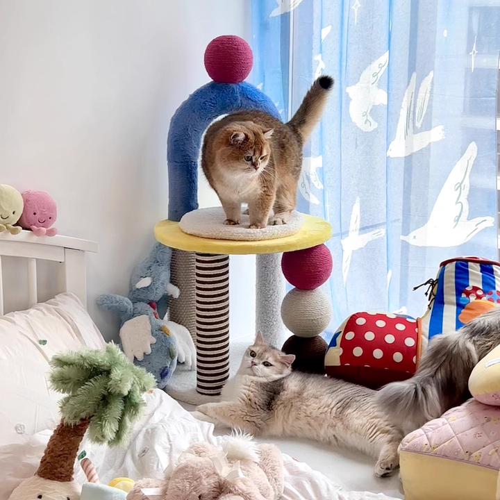 Contemporary Creative Round Particleboard Velvet Fabric Hemp Rope PE PS Cat Tree For Living Room Cuvalon