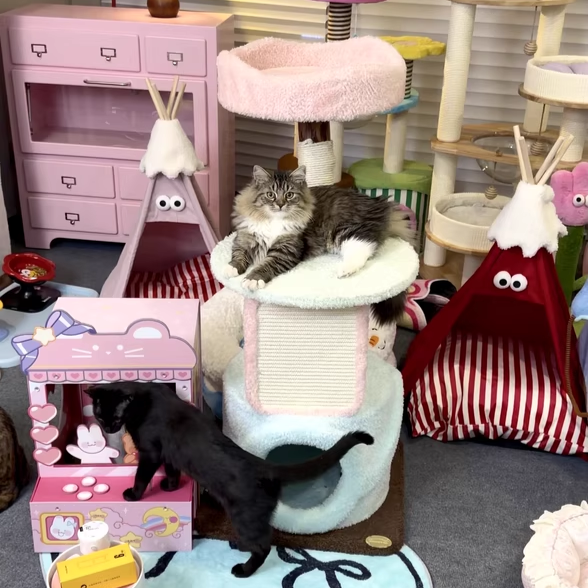 Contemporary Creative Round Particleboard Natural Fruitwood Velvet Fabric Sisal Cat Tree For Living Room Cuvalon