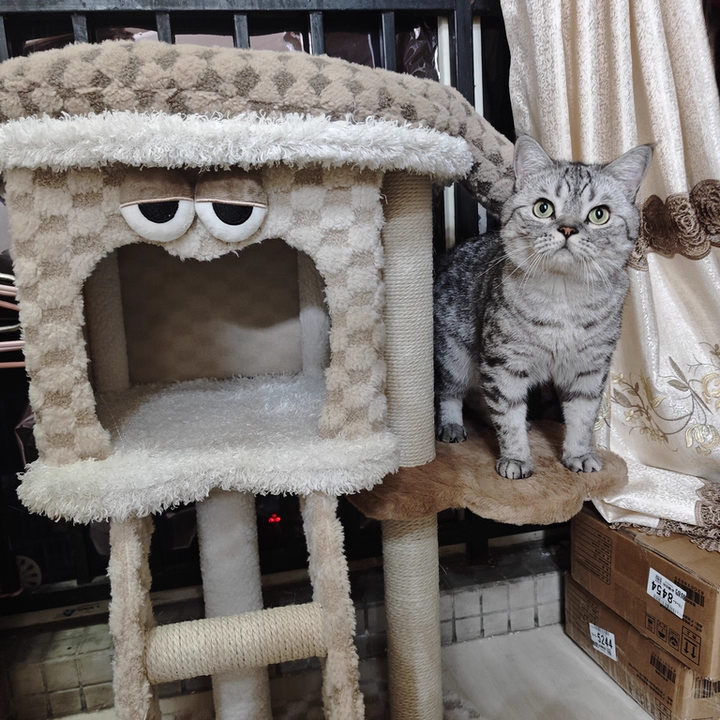 Contemporary Creative Square Particleboard Velvet Fabric Hemp Rope Cat Tree For Living Room Cuvalon
