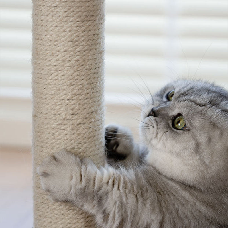 Contemporary Creative Square Particleboard Velvet Fabric Hemp Rope Cat Tree For Living Room Cuvalon