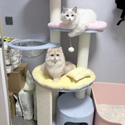 Contemporary Creative Round Particleboard Multi-layer Solid Wood Panel Velvet Fabric Paper Rope Sisal Cat Tree 5-Tier For Living Room Cuvalon