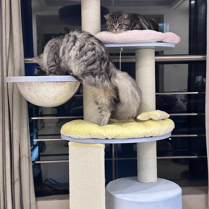 Contemporary Creative Round Particleboard Multi-layer Solid Wood Panel Velvet Fabric Paper Rope Sisal Cat Tree 5-Tier For Living Room Cuvalon