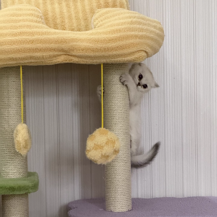 Contemporary Creative Square Particleboard Polyester Fiber Hemp Rope Paper Tube Cat Tree 3-Tier For Living Room Cuvalon