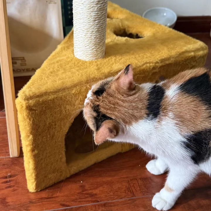 Contemporary Creative Triangle Particleboard Velvet Fabric Sisal Cheese Cat Tree Cat Bed For Bedroom Cuvalon