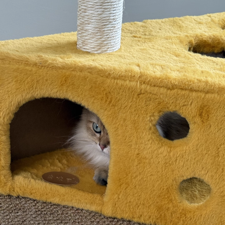 Contemporary Creative Triangle Particleboard Velvet Fabric Sisal Cheese Cat Tree Cat Bed For Bedroom Cuvalon