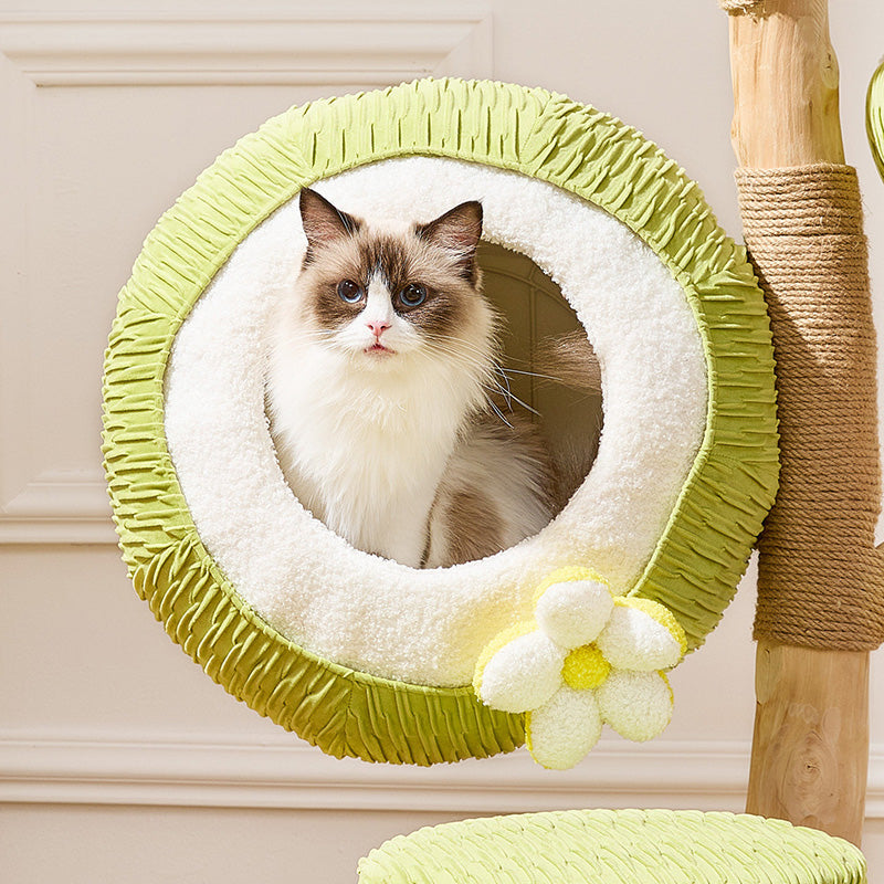 Contemporary Creative Round Natural Fruitwood Particleboard Velvet Fabric Sisal Coconut Cat Tree 5-Tier For Living Room Cuvalon