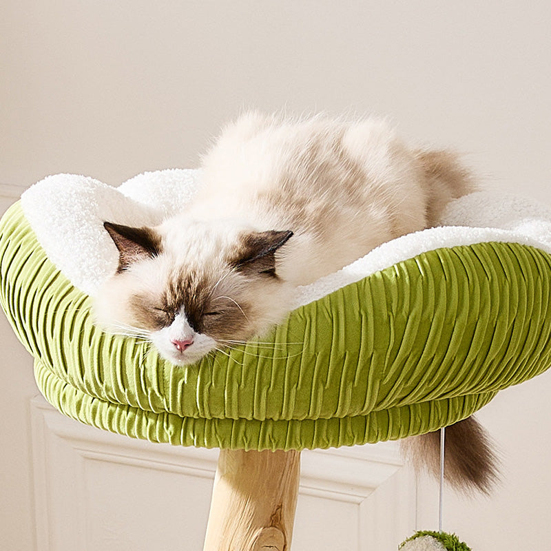 Contemporary Creative Round Natural Fruitwood Particleboard Velvet Fabric Sisal Coconut Cat Tree 5-Tier For Living Room Cuvalon