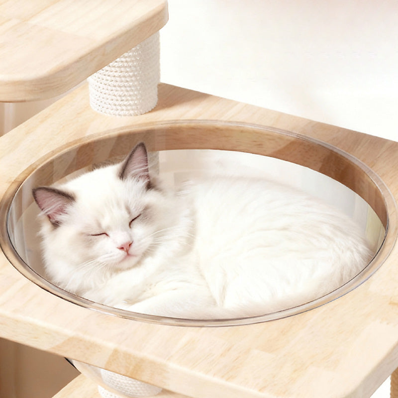 Contemporary Scandinavian Square Pine Solid Wood Board Hemp Rope Paper Tube Cat Tree 4-Tier For Living Room Cuvalon