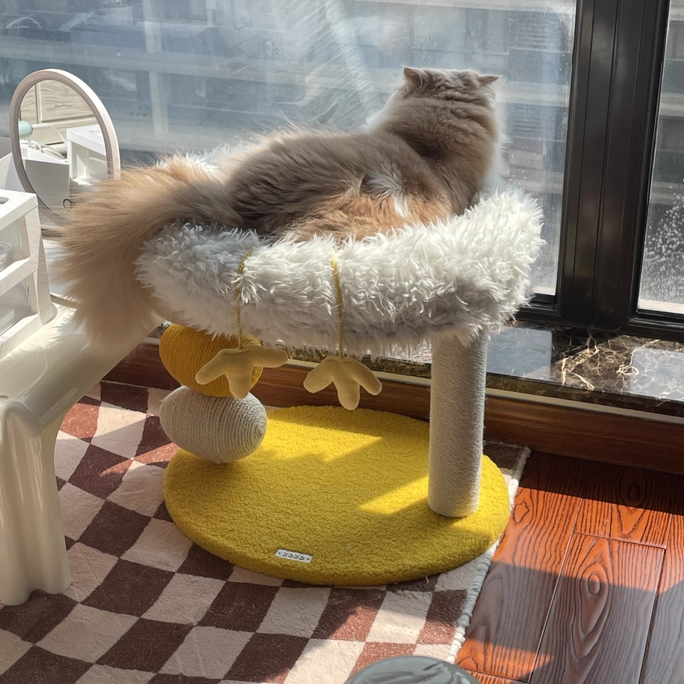 Contemporary Creative Round Particleboard Velvet Fabric Hemp Rope Cat Tree 2-Tier For Living Room Cuvalon