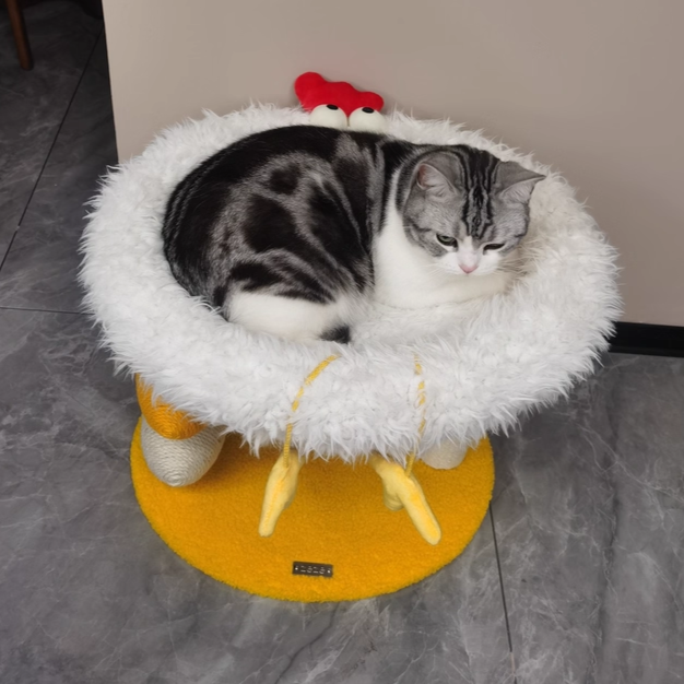 Contemporary Creative Round Particleboard Velvet Fabric Hemp Rope Cat Tree 2-Tier For Living Room Cuvalon