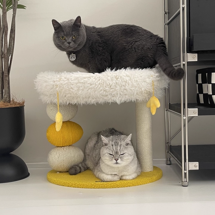 Contemporary Creative Round Particleboard Velvet Fabric Hemp Rope Cat Tree 2-Tier For Living Room Cuvalon