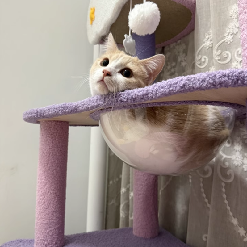 Contemporary Creative Round Particleboard Velvet Fabric Sisal Multi-Functional Star-Moon Cat Tree For Living Room Cuvalon