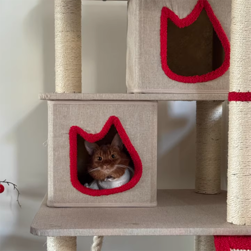 Contemporary Creative Square Particleboard Velvet Fabric Sisal Multi-Functional Cat Tree For Living Room Cuvalon