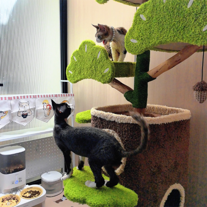 Contemporary Creative Round Particleboard Natural Fruitwood Velvet Fabric Hemp Rope Treehouse Cat Tree For Living Room Cuvalon