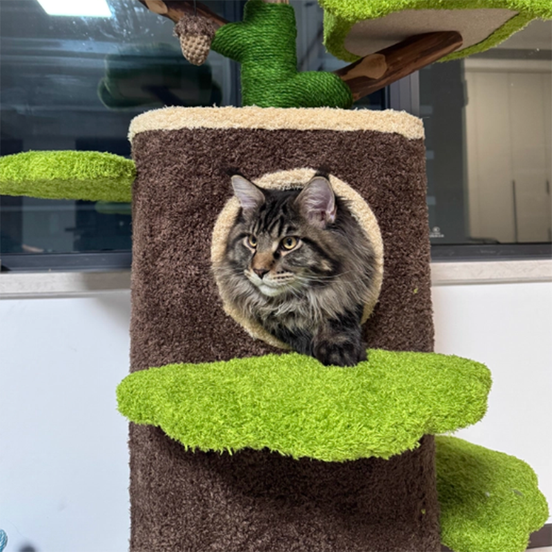 Contemporary Creative Round Particleboard Natural Fruitwood Velvet Fabric Hemp Rope Treehouse Cat Tree For Living Room Cuvalon