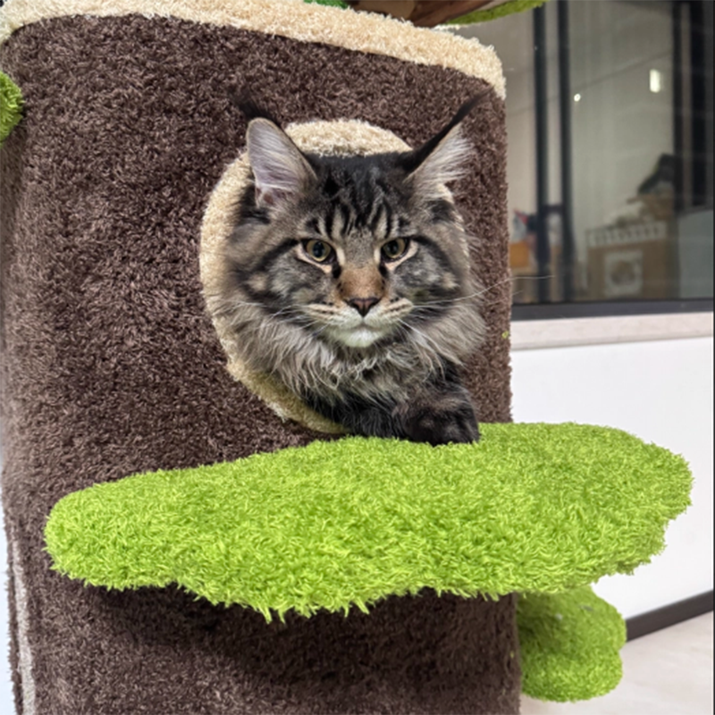 Contemporary Creative Round Particleboard Natural Fruitwood Velvet Fabric Hemp Rope Treehouse Cat Tree For Living Room Cuvalon