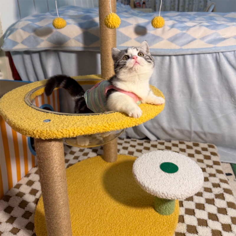 Contemporary Creative Round Medium-Density Fiberboard Velvet Fabric Sisal Coconut Tree Cat Tree For Living Room Cuvalon