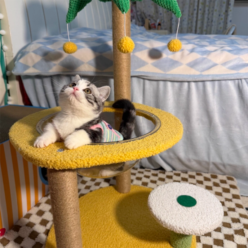 Contemporary Creative Round Medium-Density Fiberboard Velvet Fabric Sisal Coconut Tree Cat Tree For Living Room Cuvalon
