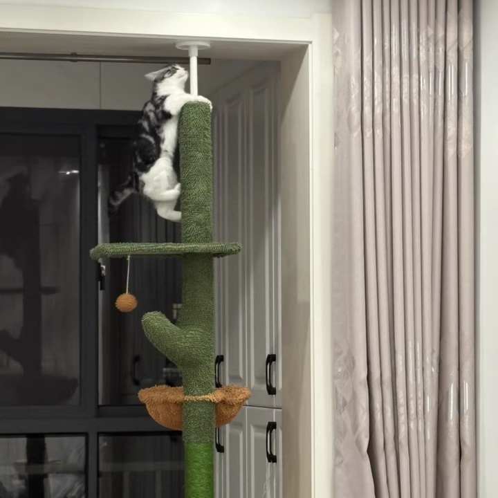 Contemporary Creative Rectangular Particleboard Velvet Fabric Sisal Paper Tube Cactus Cat Tree For Living Room Cuvalon