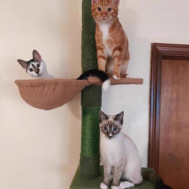 Contemporary Creative Rectangular Particleboard Velvet Fabric Sisal Paper Tube Cactus Cat Tree For Living Room Cuvalon