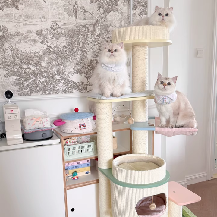 Contemporary Scandinavian Round Multi-Layer Solid Wood Panel Fiberboard Paper Rope Paper Tube Cat Tree 5-Tier For Living Room Cuvalon