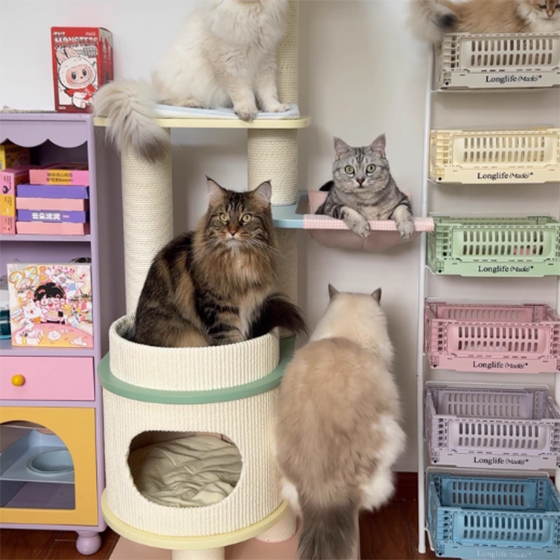 Contemporary Scandinavian Round Multi-Layer Solid Wood Panel Fiberboard Paper Rope Paper Tube Cat Tree 5-Tier For Living Room Cuvalon