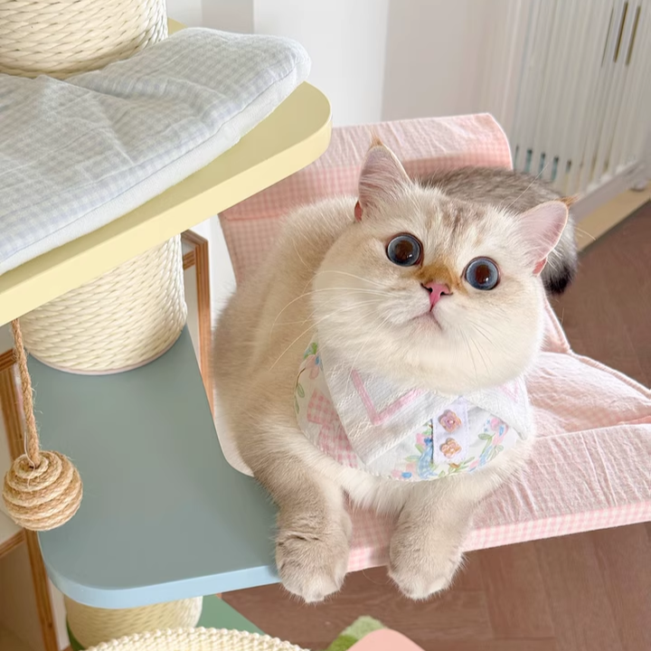 Contemporary Scandinavian Round Multi-Layer Solid Wood Panel Fiberboard Paper Rope Paper Tube Cat Tree 5-Tier For Living Room Cuvalon