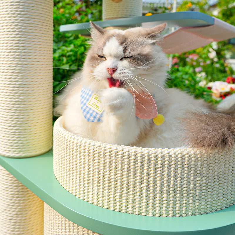 Contemporary Scandinavian Round Multi-Layer Solid Wood Panel Fiberboard Paper Rope Paper Tube Cat Tree 5-Tier For Living Room Cuvalon