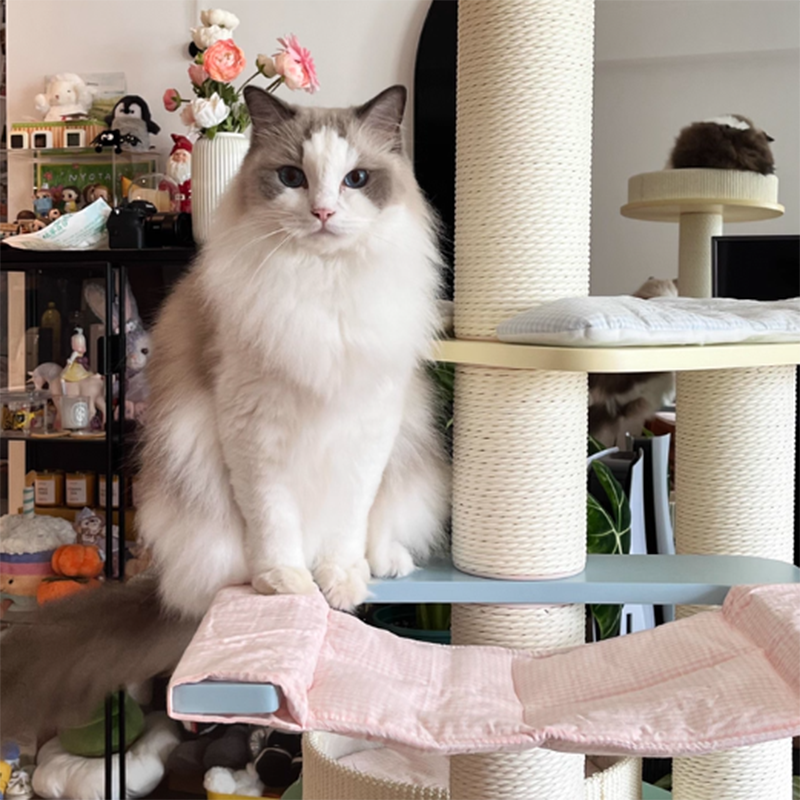 Contemporary Scandinavian Round Multi-Layer Solid Wood Panel Fiberboard Paper Rope Paper Tube Cat Tree 5-Tier For Living Room Cuvalon