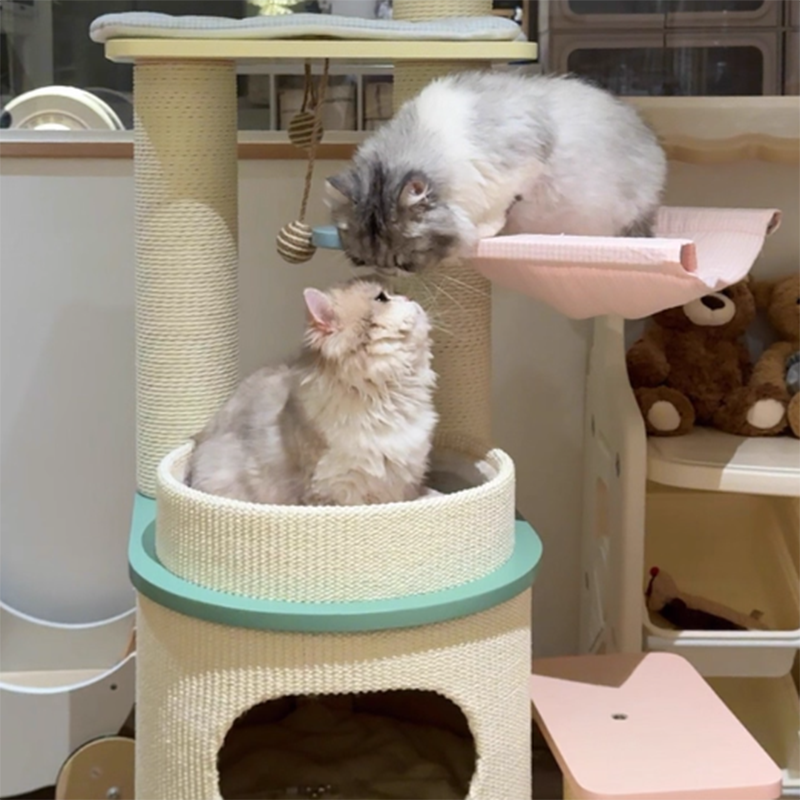 Contemporary Scandinavian Round Multi-Layer Solid Wood Panel Fiberboard Paper Rope Paper Tube Cat Tree 5-Tier For Living Room Cuvalon
