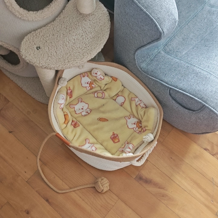 Contemporary Scandinavian Oval Linen-Cotton Rope Woven Cat Bed For Living Room & Bedroom Cuvalon
