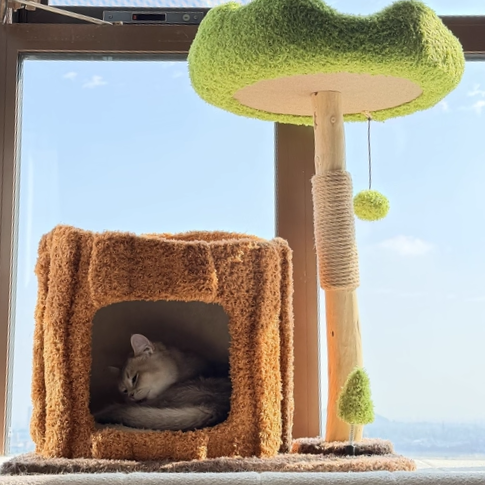 Contemporary Creative Round Particleboard Natural Fruitwood Velvet Fabric Sisal Tree Stump Cat Tree 3-Tier For Living Room Cuvalon
