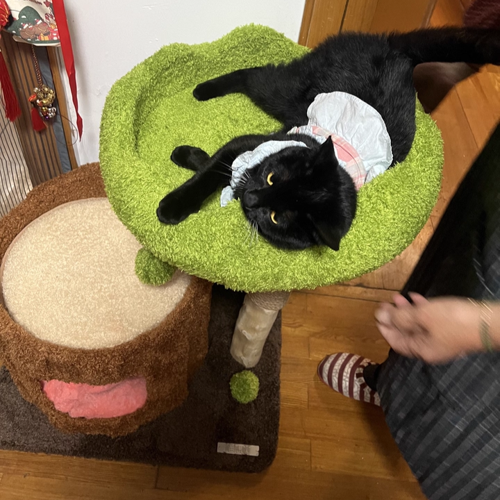 Contemporary Creative Round Particleboard Natural Fruitwood Velvet Fabric Sisal Tree Stump Cat Tree 3-Tier For Living Room Cuvalon