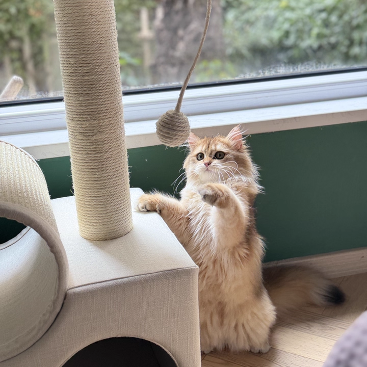 Contemporary Scandinavian Round Particleboard Velvet Fabric Sisal Paper Tube Cat Tree 3-Tier For Living Room Cuvalon