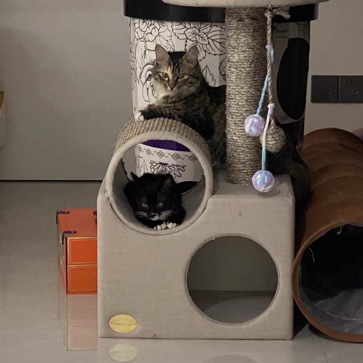 Contemporary Scandinavian Round Particleboard Velvet Fabric Sisal Paper Tube Cat Tree 3-Tier For Living Room Cuvalon