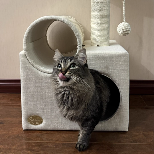Contemporary Scandinavian Round Particleboard Velvet Fabric Sisal Paper Tube Cat Tree 3-Tier For Living Room Cuvalon
