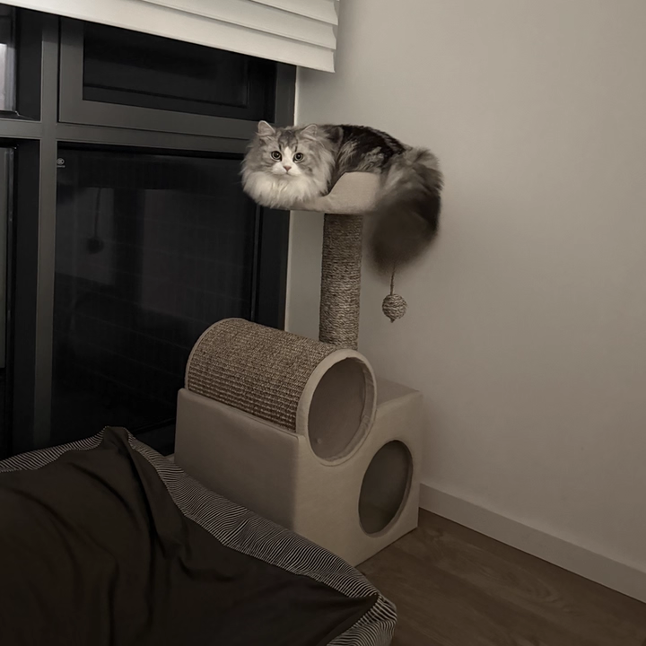 Contemporary Scandinavian Round Particleboard Velvet Fabric Sisal Paper Tube Cat Tree 3-Tier For Living Room Cuvalon
