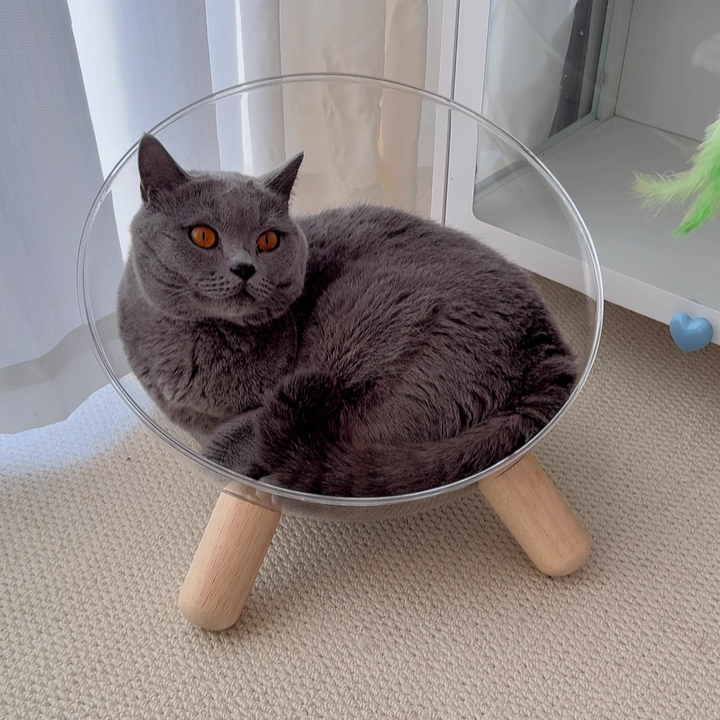 Contemporary Scandinavian Round Rubberwood PET Iron Clear Cat Bed For Bedroom Cuvalon